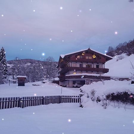 Appartement Maurer ニーデラウ エクステリア 写真