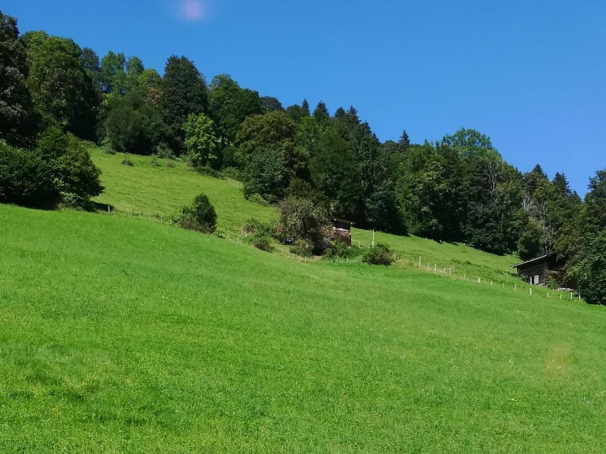 Appartement Maurer ニーデラウ エクステリア 写真