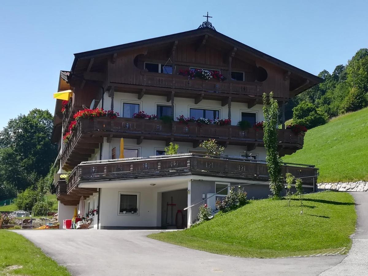 Appartement Maurer ニーデラウ エクステリア 写真