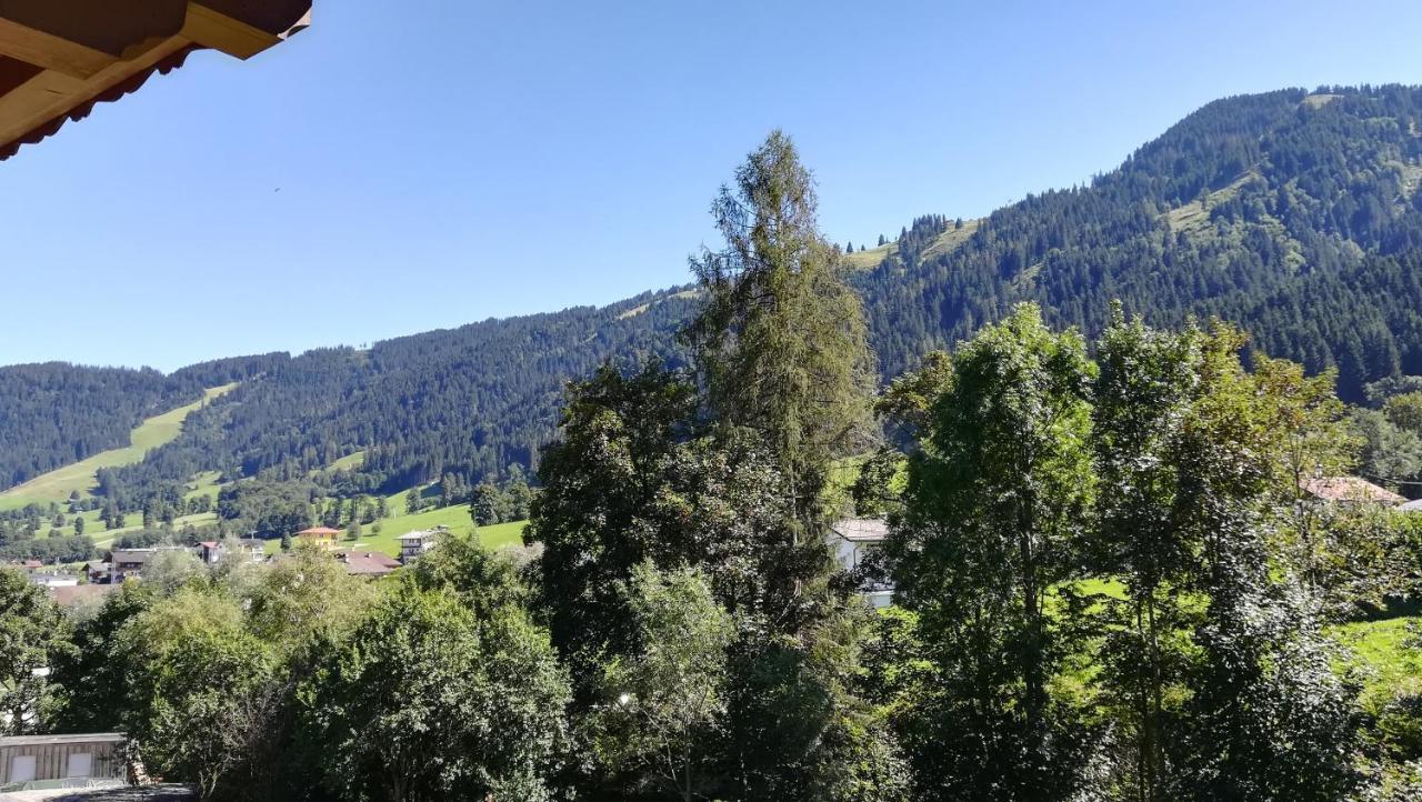 Appartement Maurer ニーデラウ エクステリア 写真