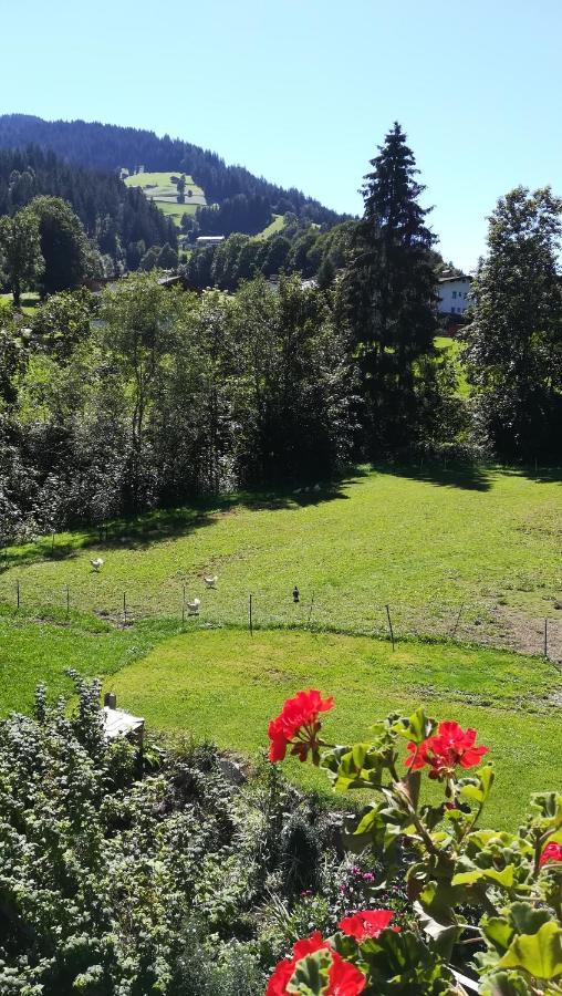 Appartement Maurer ニーデラウ エクステリア 写真