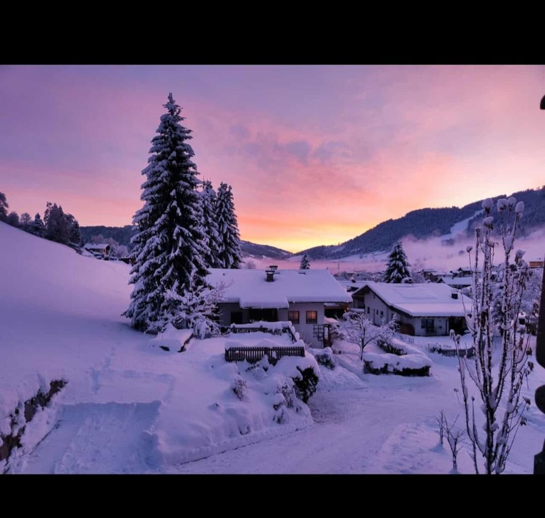 Appartement Maurer ニーデラウ エクステリア 写真