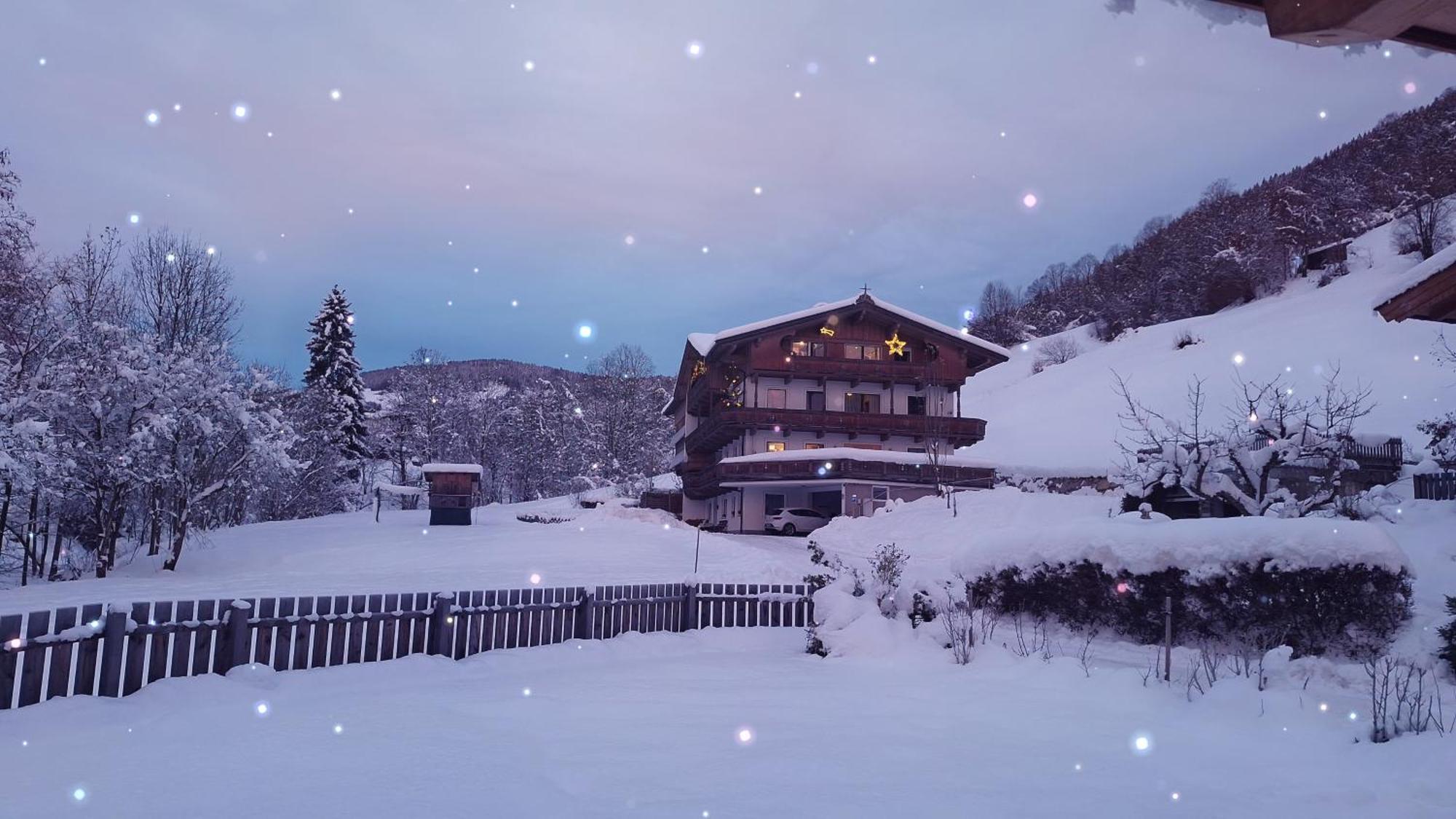 Appartement Maurer ニーデラウ エクステリア 写真